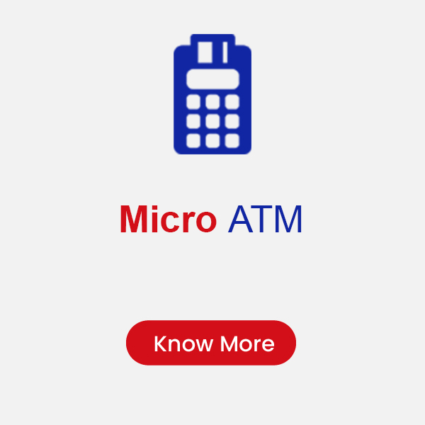 Micro ATM 